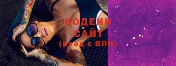 индика Иннополис