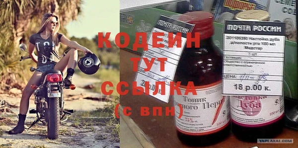 шишки Инта