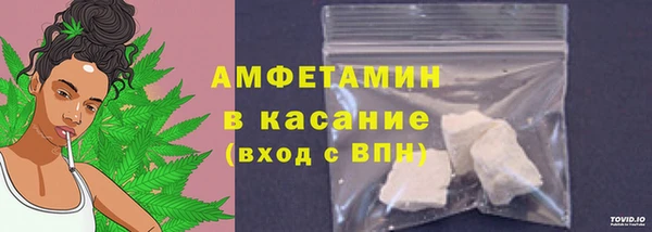 ГАЛЛЮЦИНОГЕННЫЕ ГРИБЫ Инсар