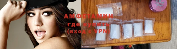 шишки Инта