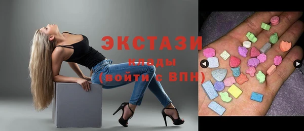 шишки Инта