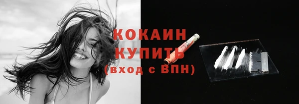 индика Иннополис