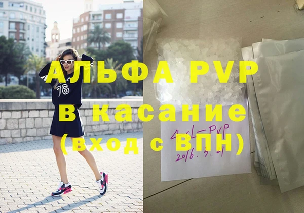 шишки Инта