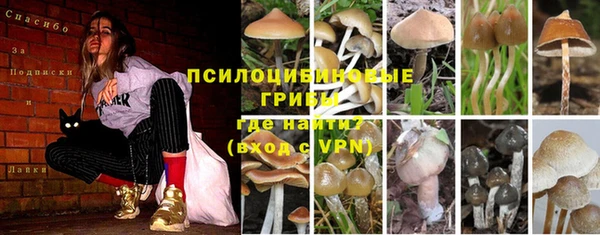 индика Иннополис