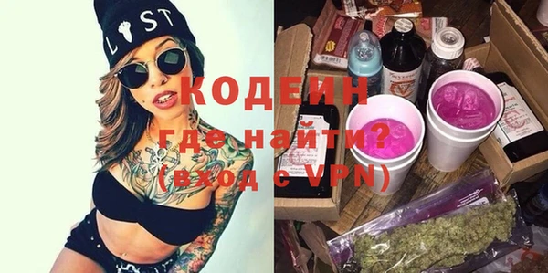 ГАЛЛЮЦИНОГЕННЫЕ ГРИБЫ Инсар