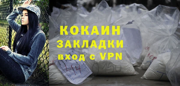 шишки Инта