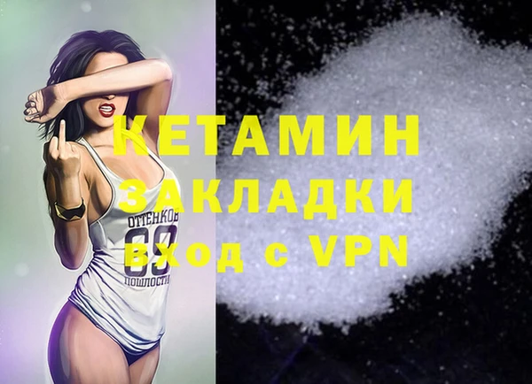 шишки Инта
