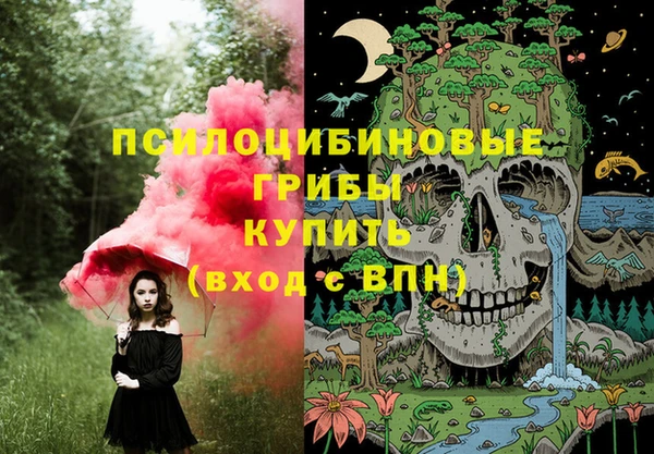 шишки Инта
