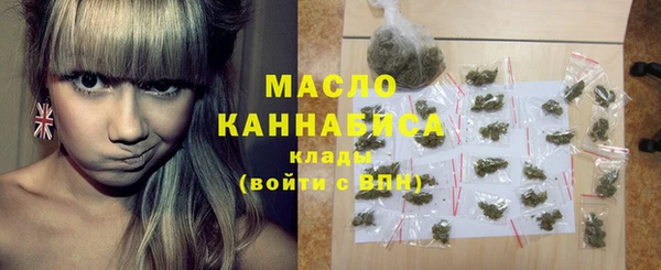индика Иннополис