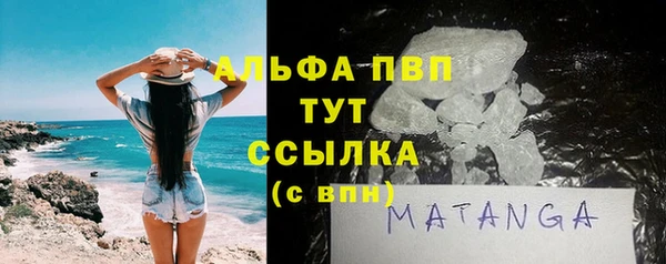 шишки Инта