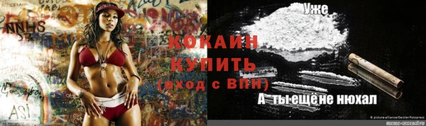 шишки Инта