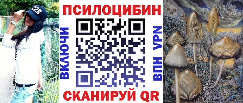 Галлюциногенные грибы Psilocybine cubensis продажа наркотиков Каргат