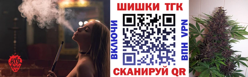 Конопля сатива  цены наркотик  Каргат 